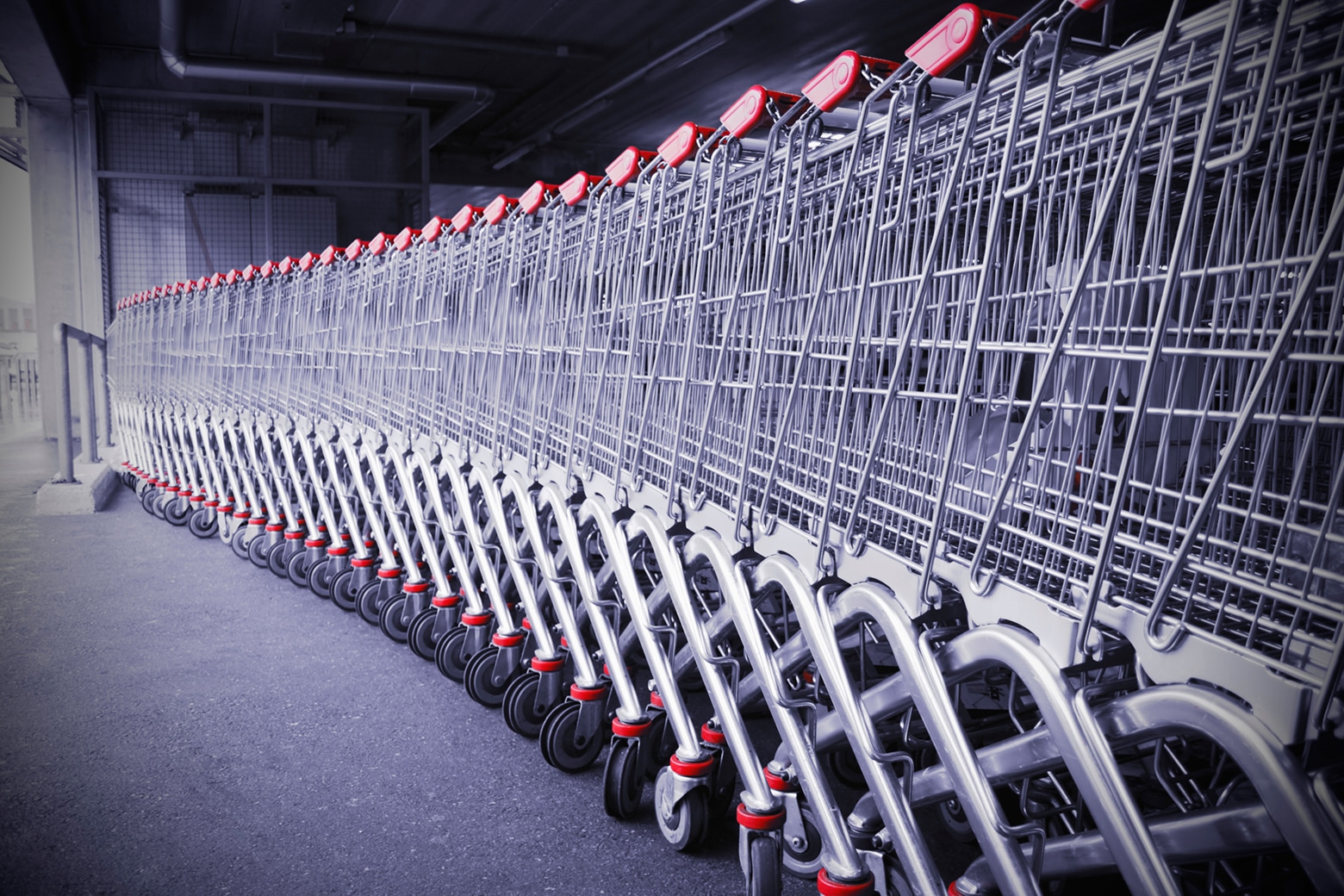 Shopping carts, ostoskärryjä jonossa